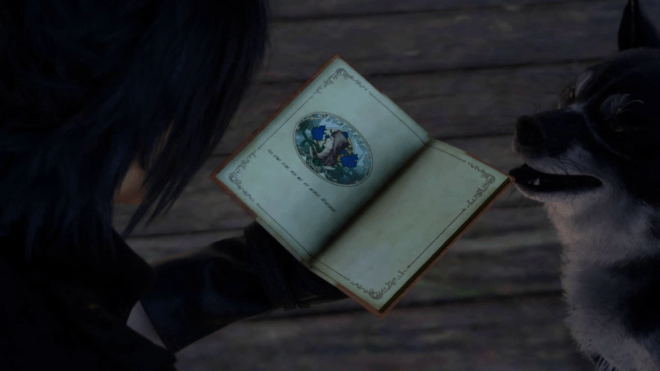 vlcsnap-2017-02-02-22h24m37s744